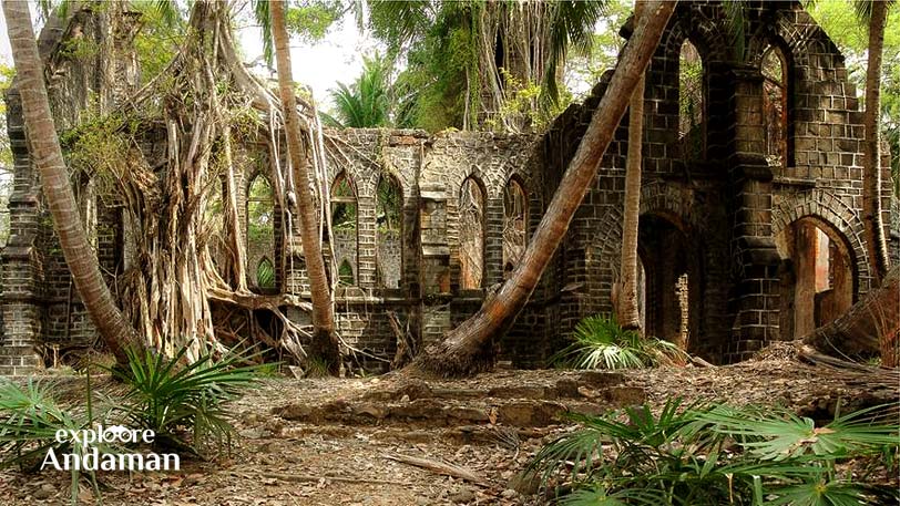 Discover the rich history and natural beauty of Ross Island