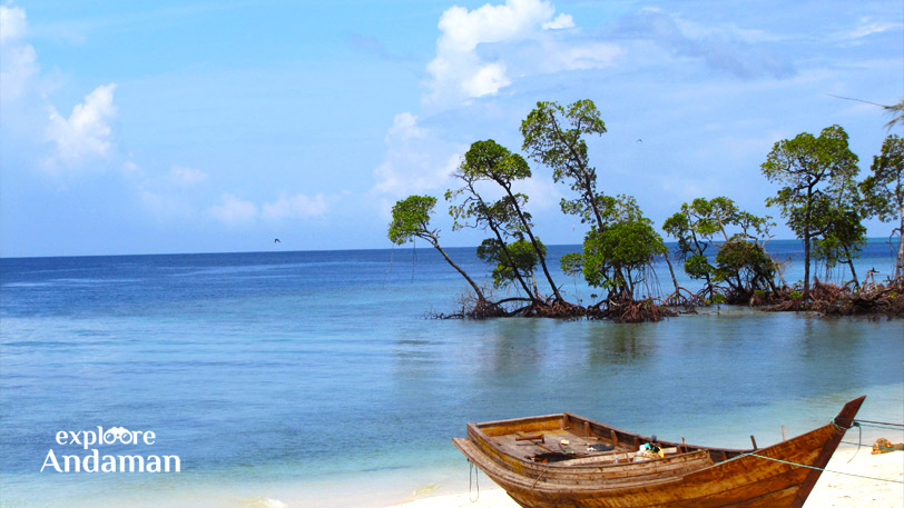 Havelock Island: Where adventure meets relaxation